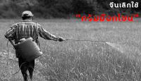 มูลนิธิชีววิถี