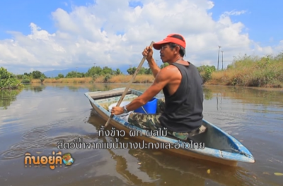 มูลนิธิชีววิถี