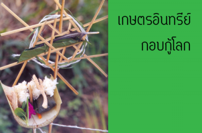 มูลนิธิชีววิถี