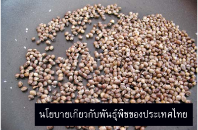 มูลนิธิชีววิถี