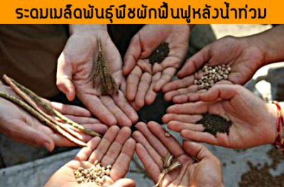 มูลนิธิชีววิถี