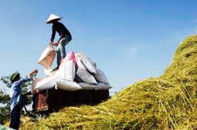 มูลนิธิชีววิถี