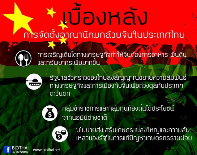 เบื้องหลังการจัดตั้งอาณานิคมกล้วยจีนในประเทศไทย