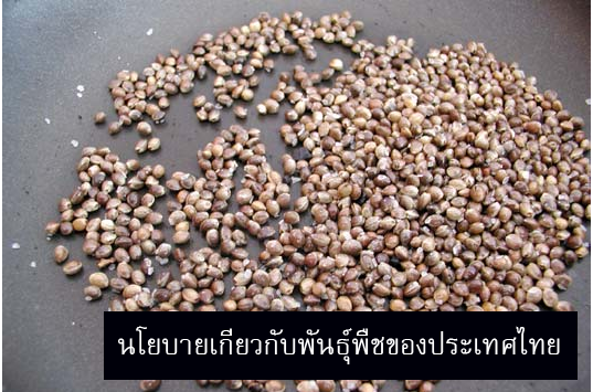 มูลนิธิชีววิถี